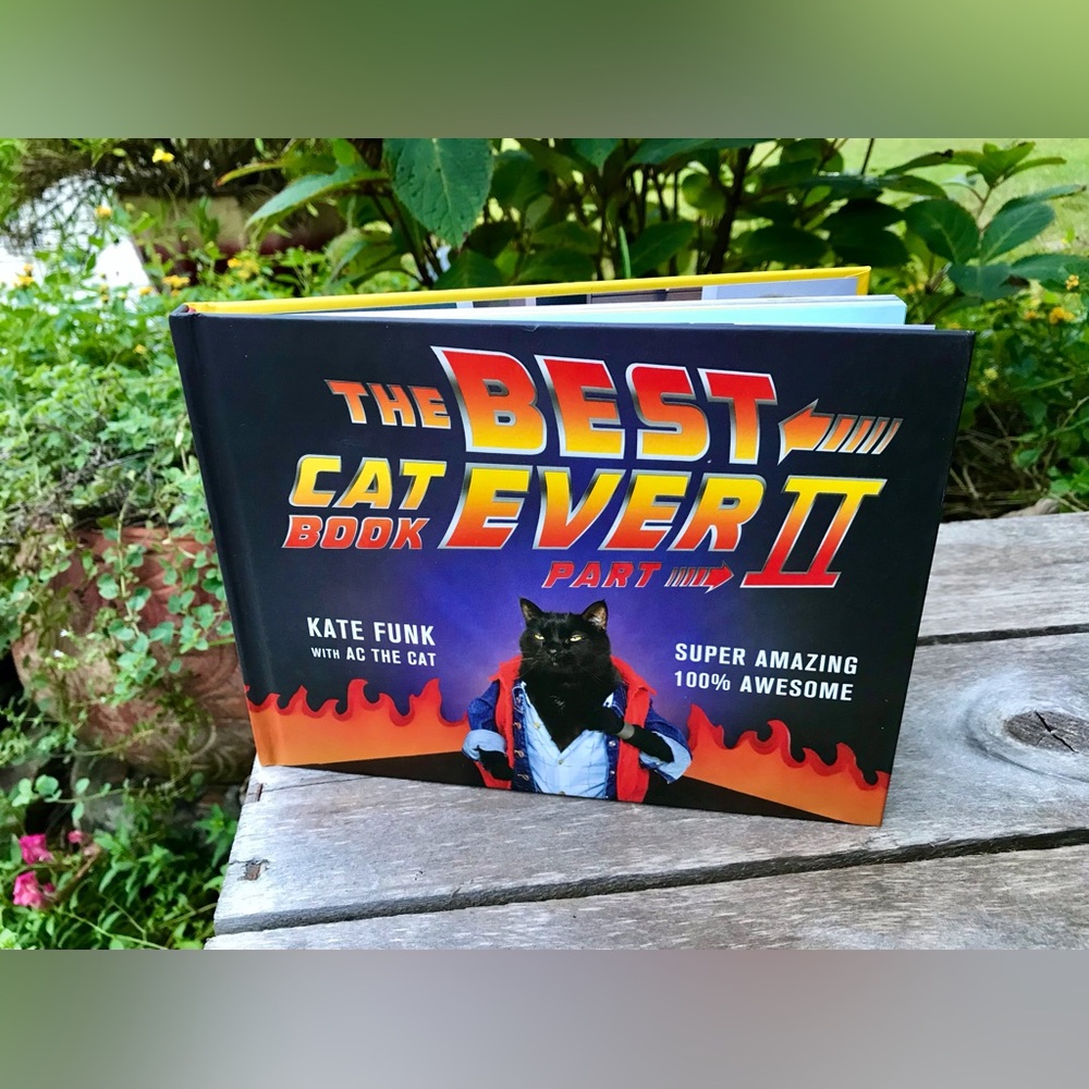 The Best Cat Book Ever Part 2 Funny Coffee Table Shop Book Cat Lover Books